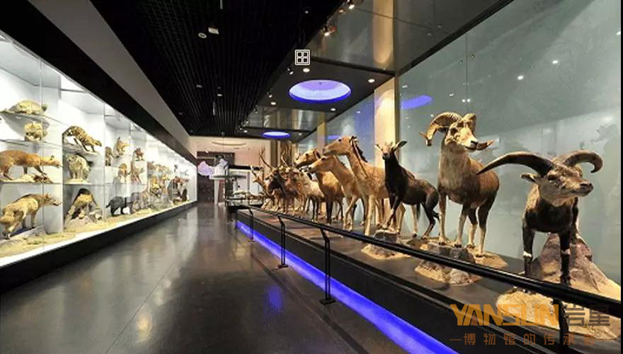 博物館展館設(shè)計(jì)方案:感受色彩對(duì)比的方法和變化的規(guī)律插圖(2)